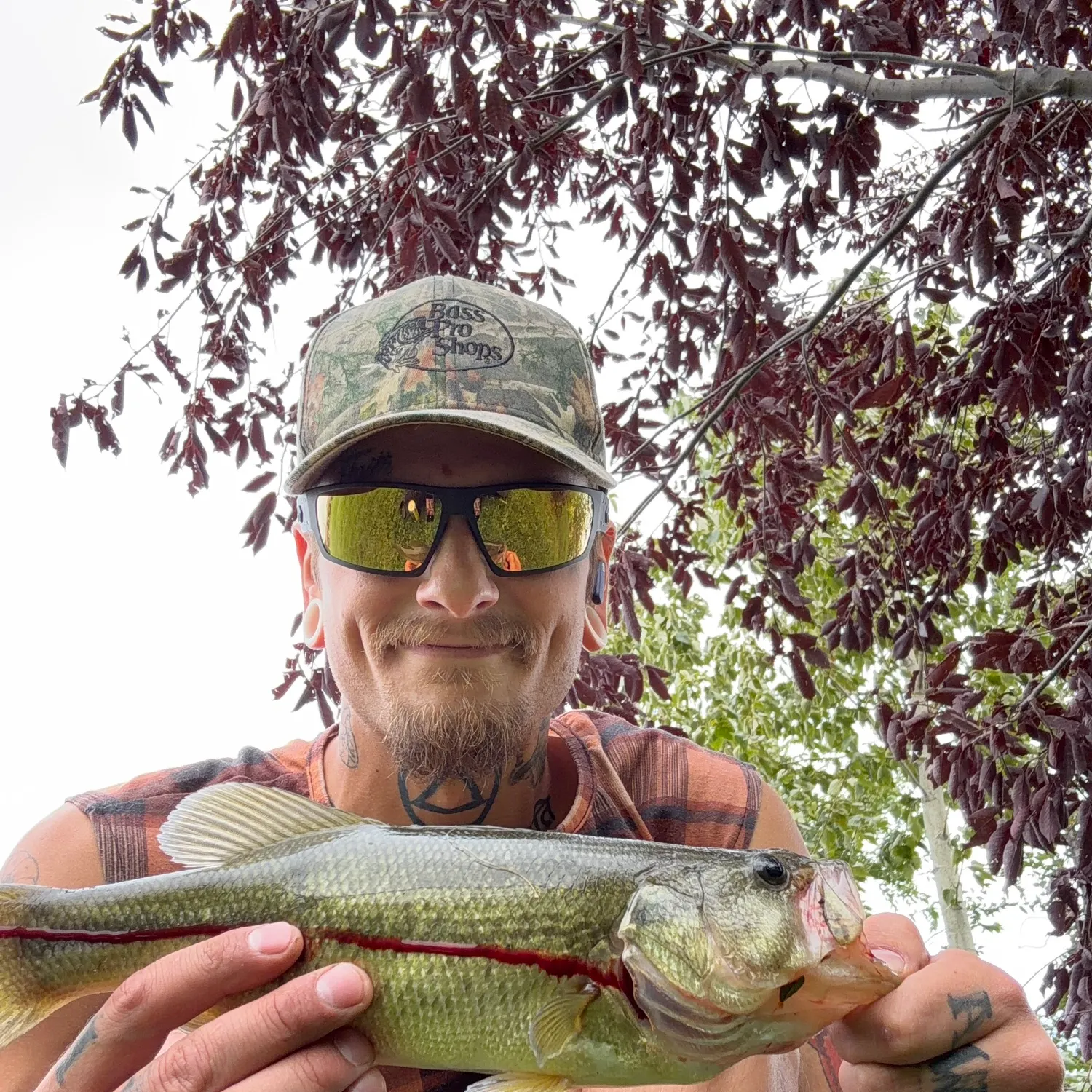 Largemouth bass caught on Fishbrain