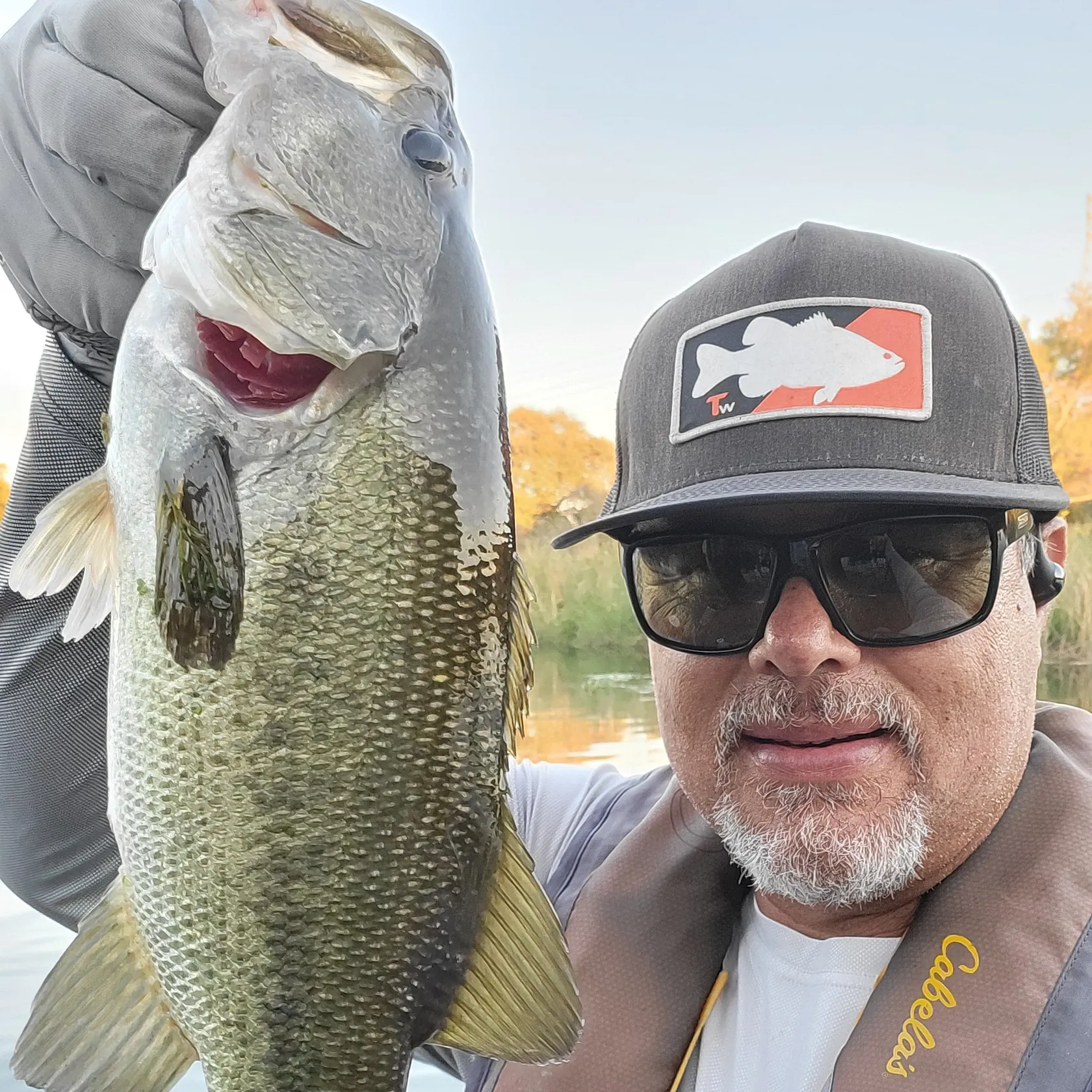Largemouth bass caught on Fishbrain