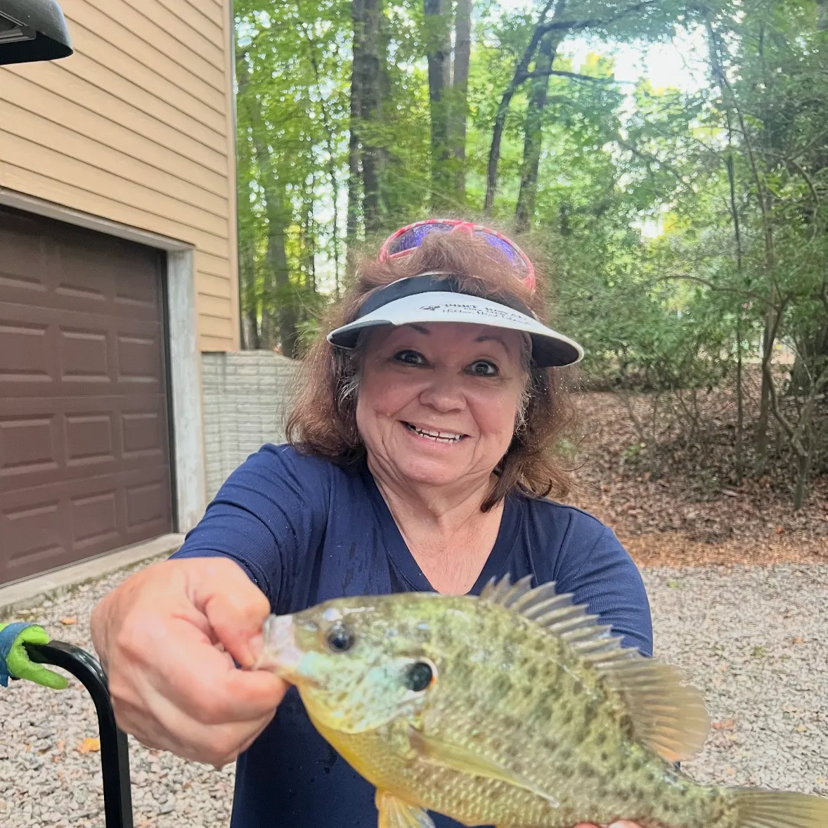 Bluegill caught on Fishbrain