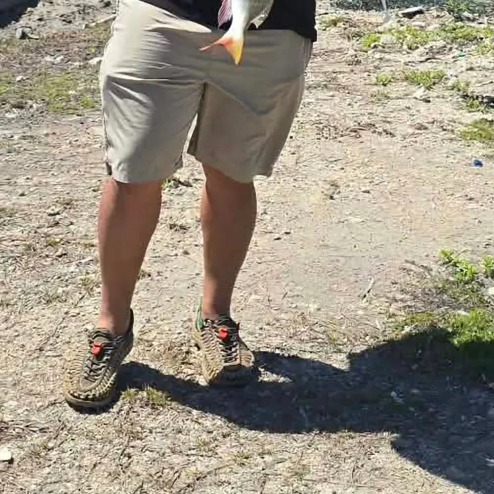 The most recent Mutton snapper catches on Fishbrain