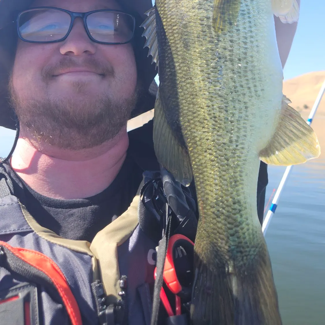 Largemouth bass caught on Fishbrain