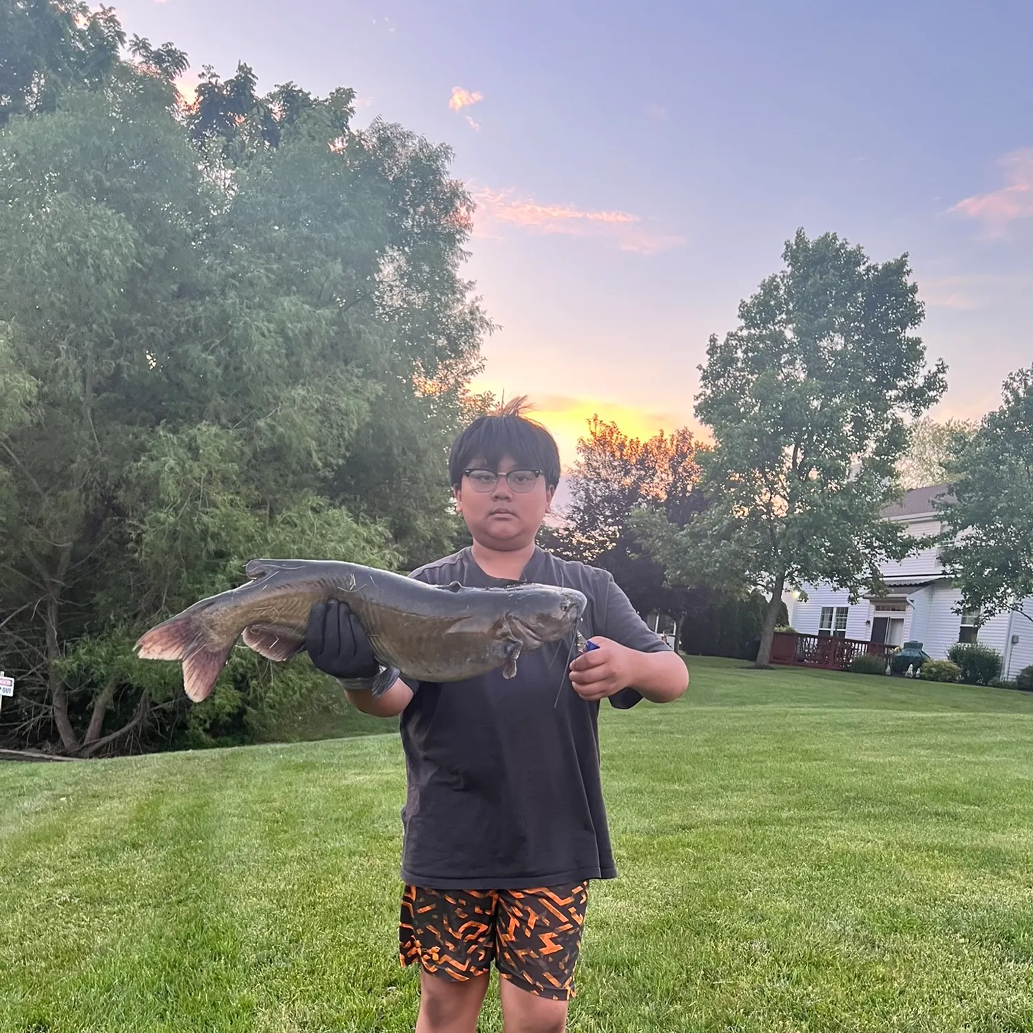Channel catfish caught on Fishbrain