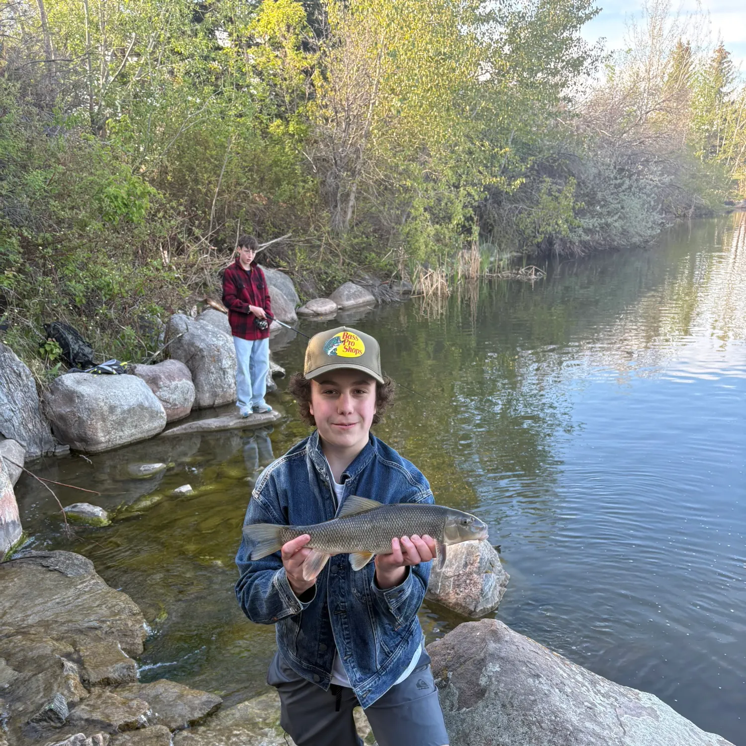 The most recent White sucker catches on Fishbrain