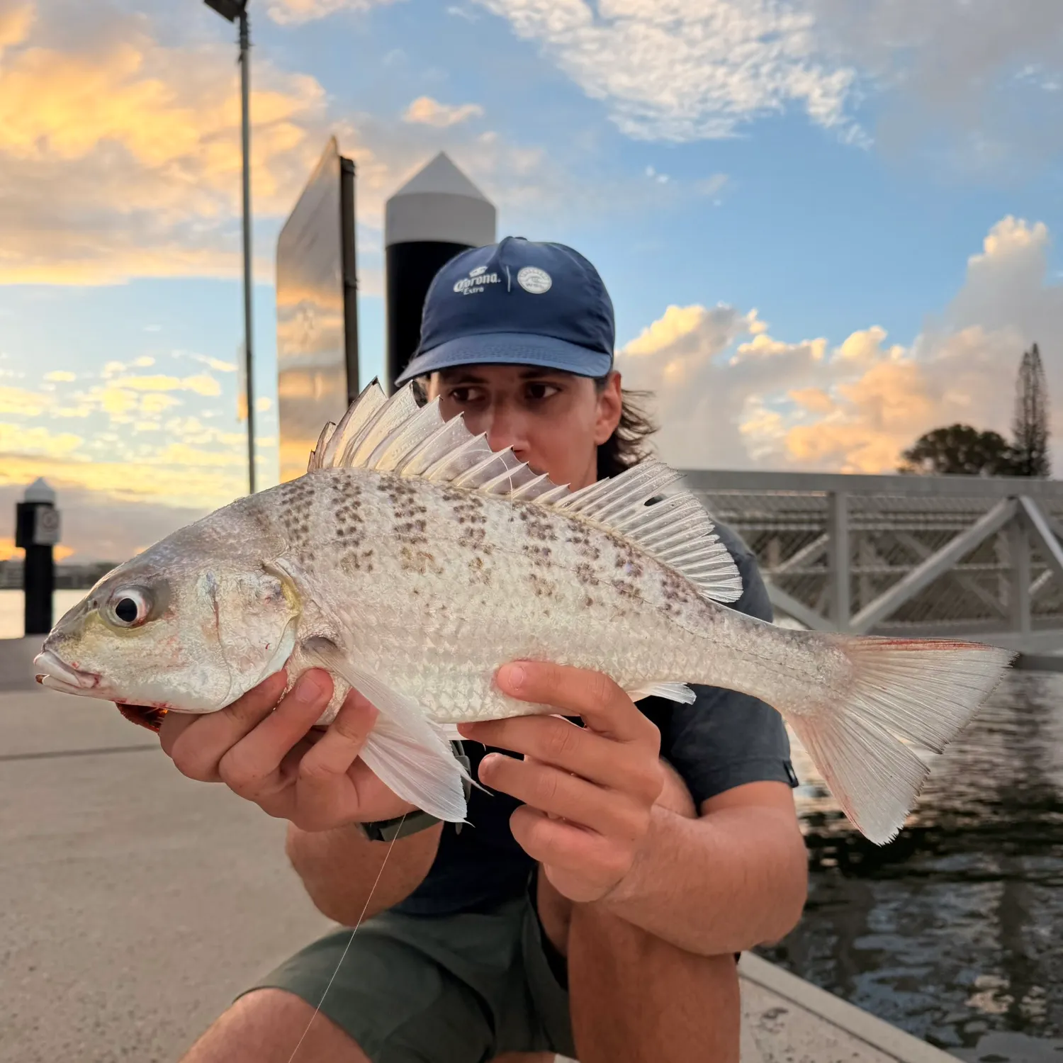 The most recent Javelin grunter catches on Fishbrain