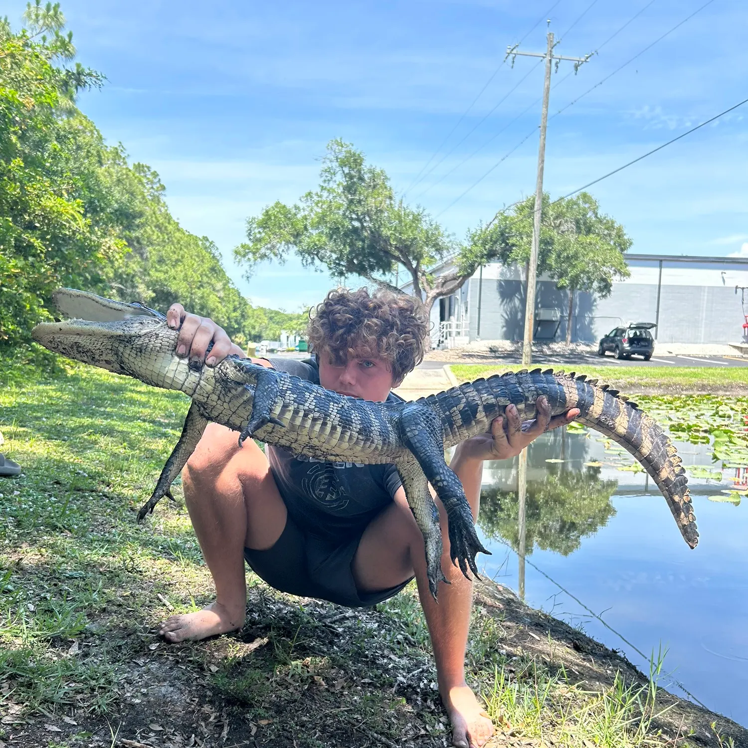 The most recent Alligator pipefish catches on Fishbrain