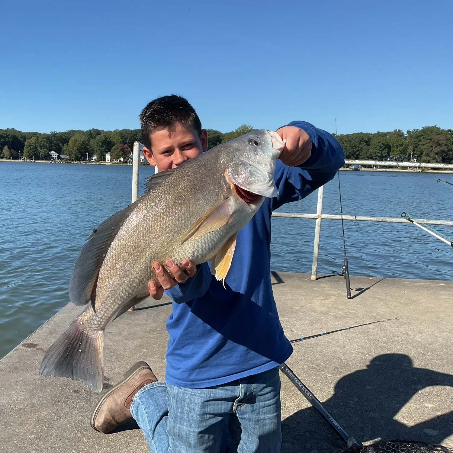 Freshwater drum caught on Fishbrain