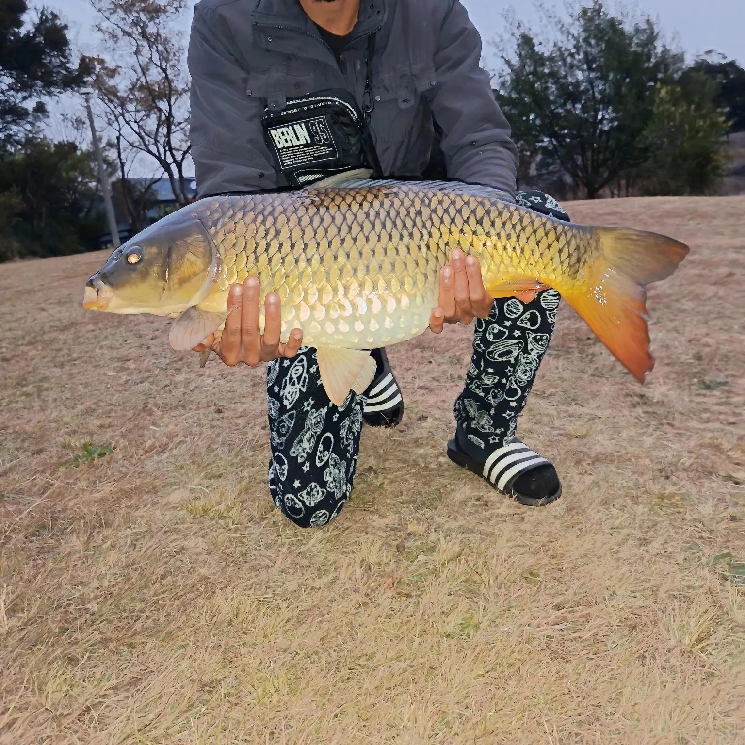 Fish caught on Fishbrain