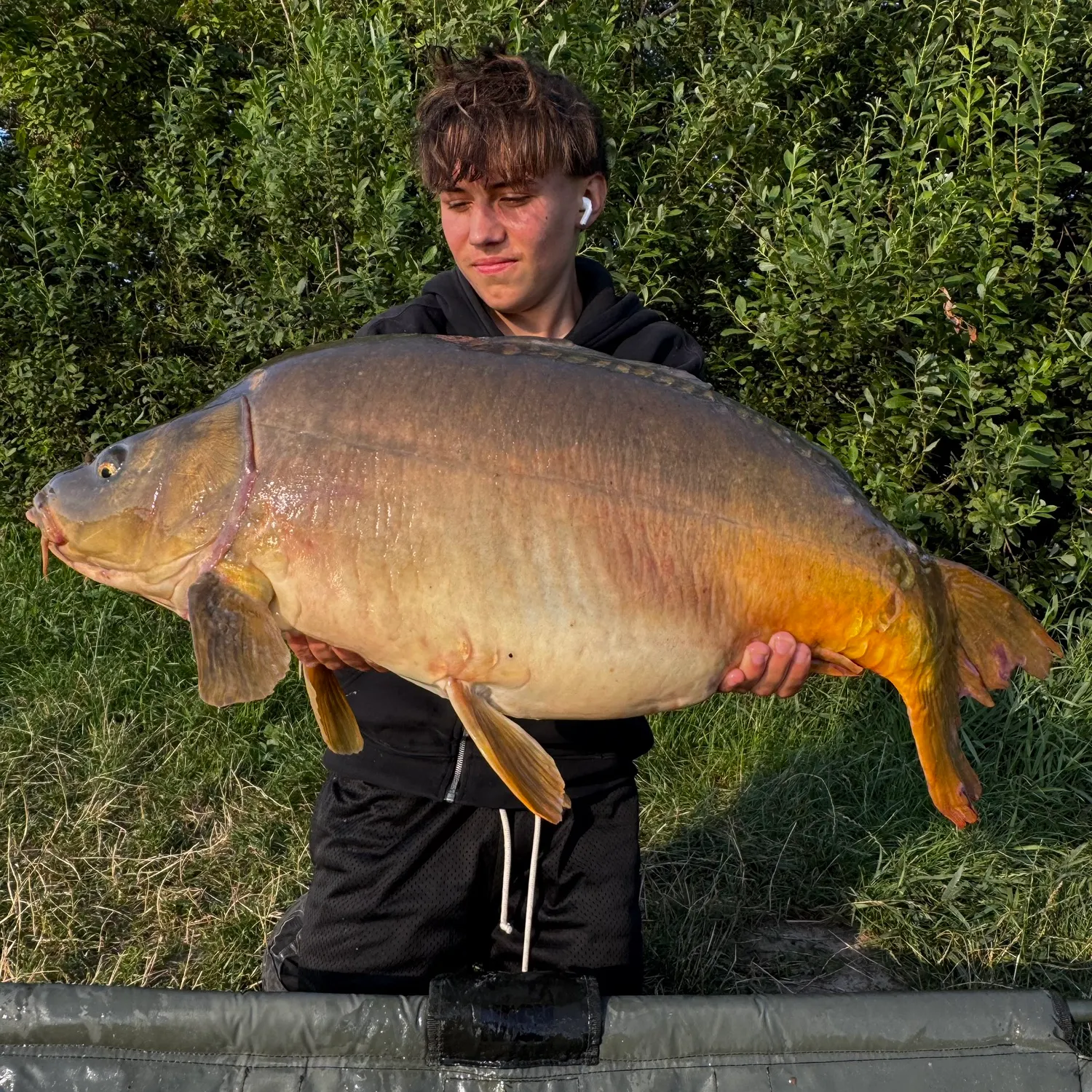 Leather carp caught on Fishbrain