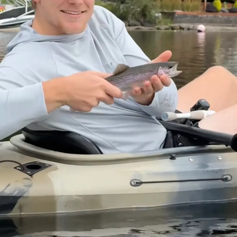 Rainbow trout caught on Fishbrain