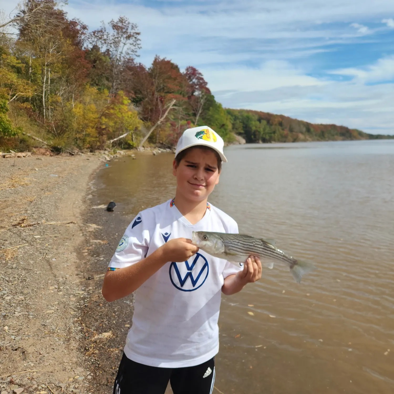 Striped bass caught on Fishbrain