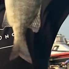 The most recent Grass emperor catches on Fishbrain