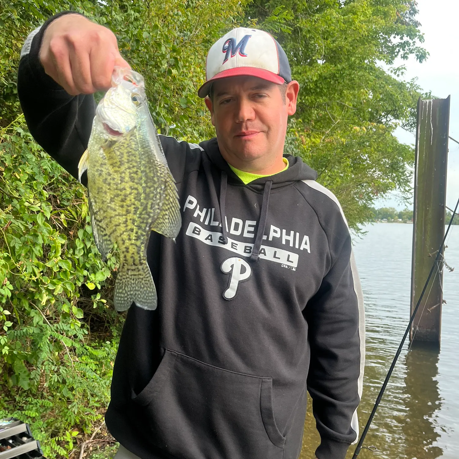 Black crappie caught on Fishbrain