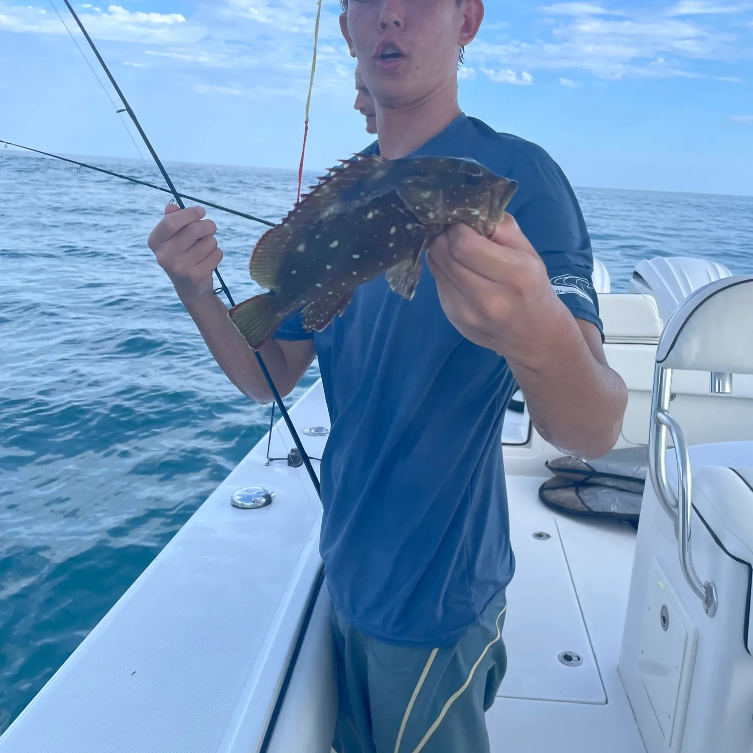 The most recent Starry grouper catches on Fishbrain