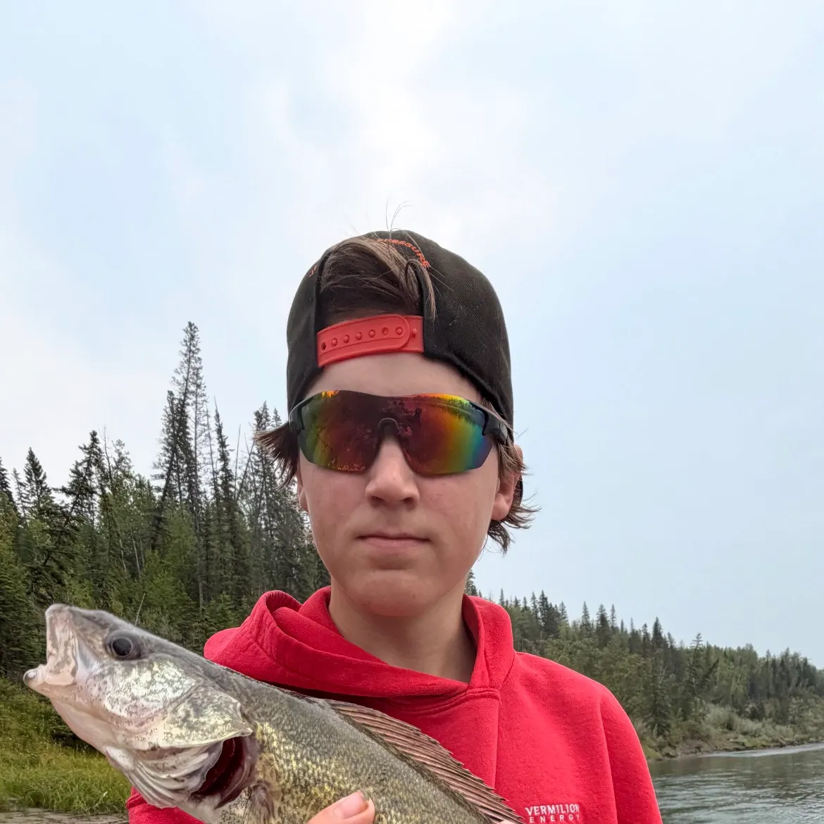 Walleye caught on Fishbrain