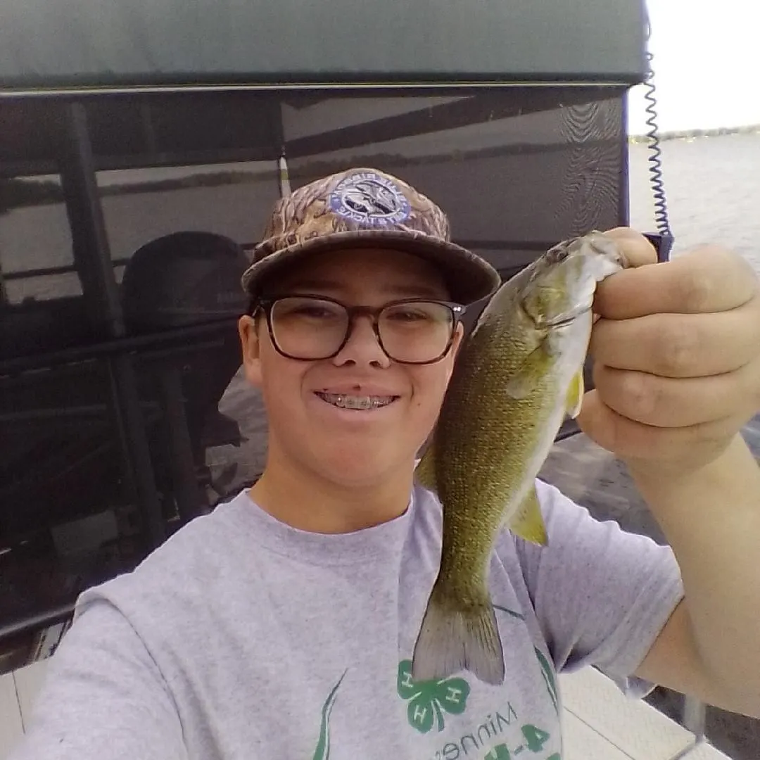 Smallmouth bass caught on Fishbrain