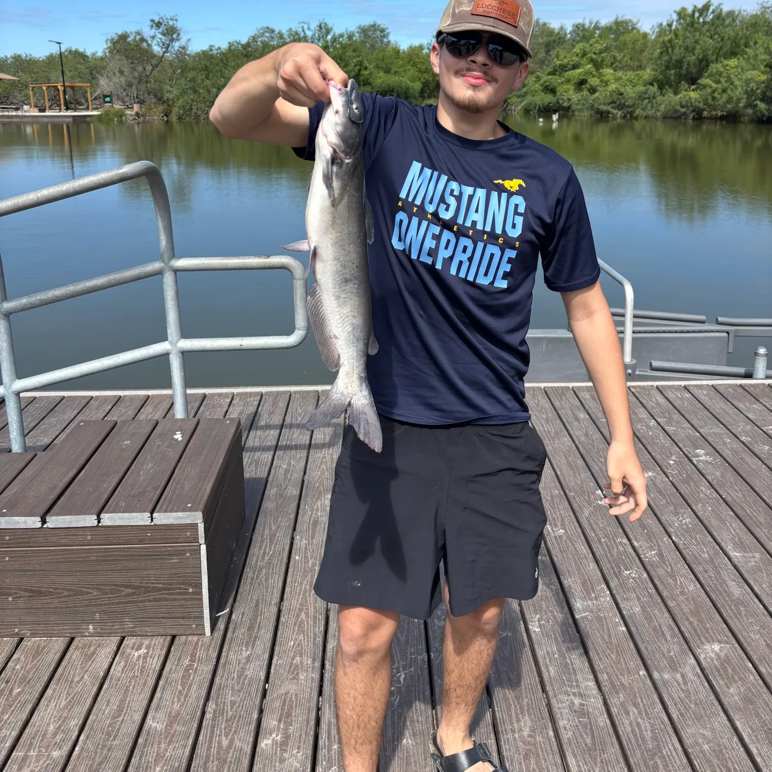 Channel catfish caught on Fishbrain