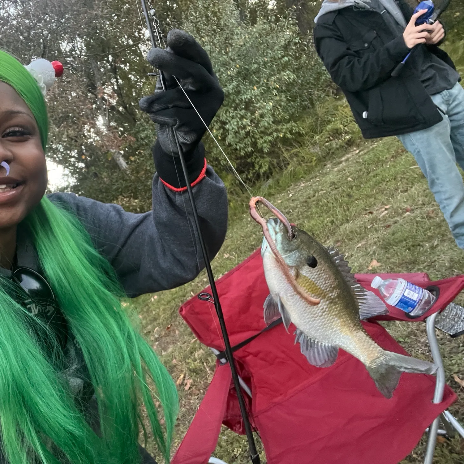 Bluegill caught on Fishbrain
