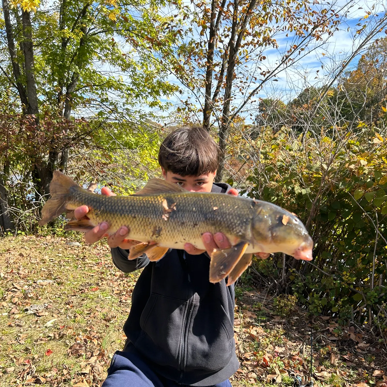 White sucker caught on Fishbrain