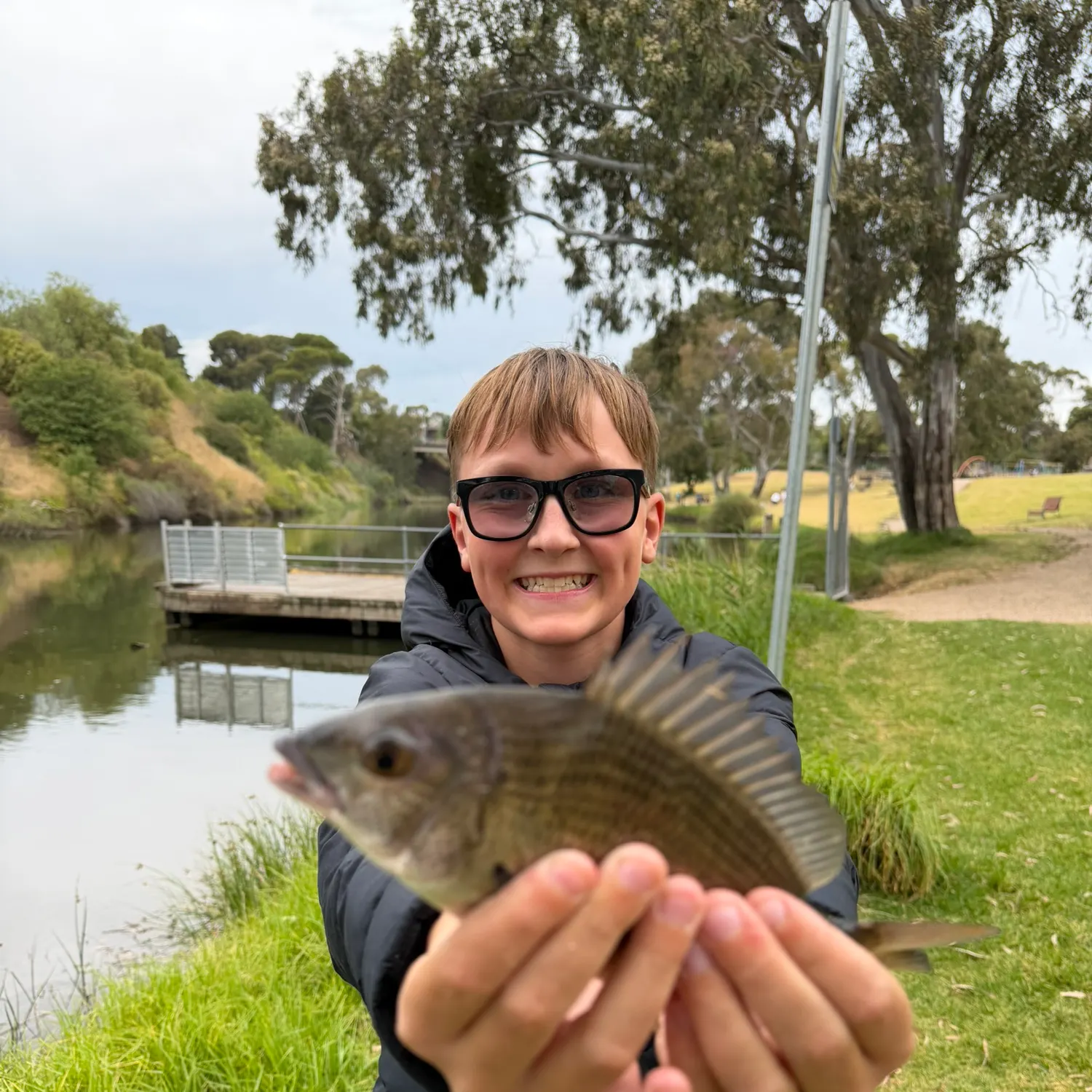The most recent Southern black bream catches on Fishbrain