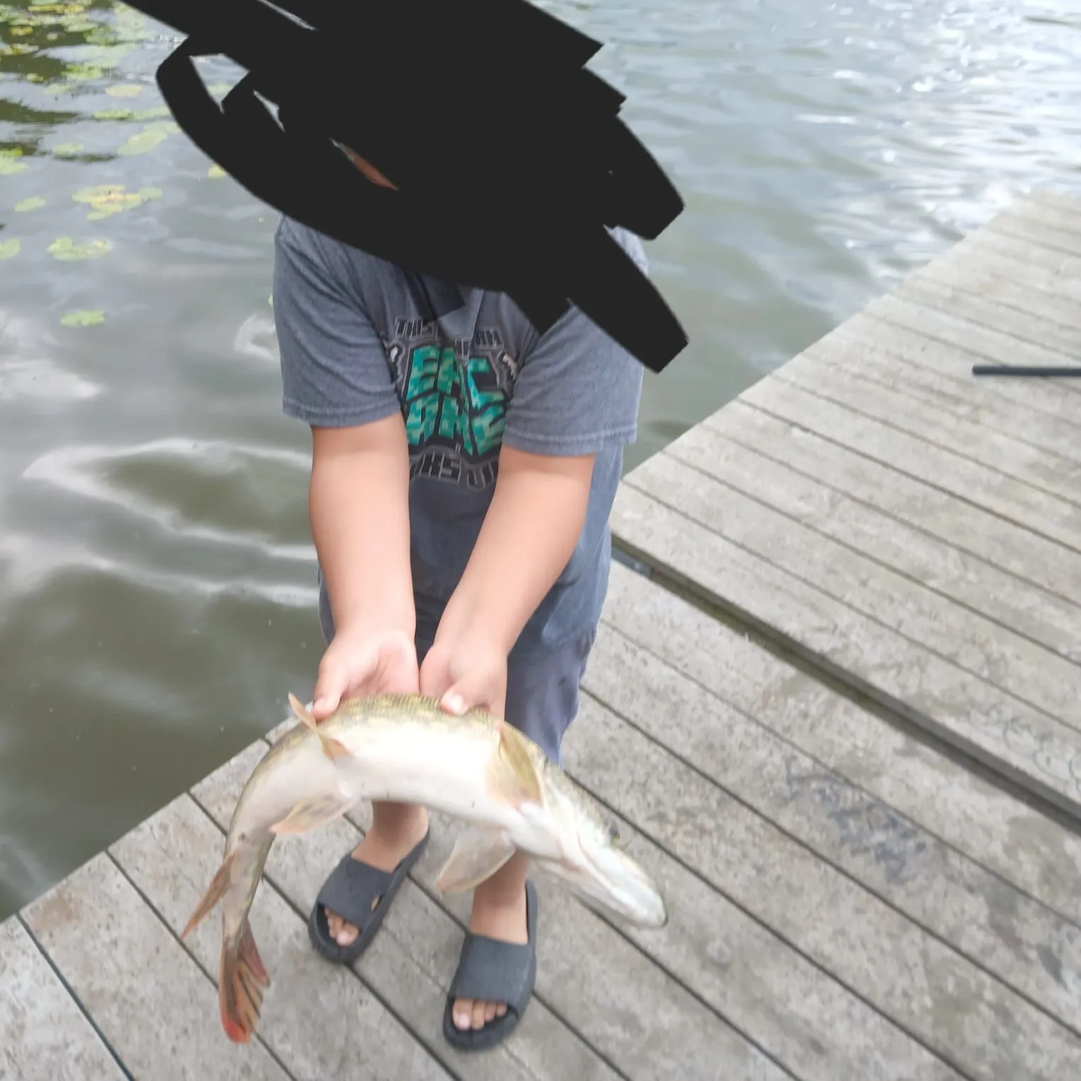 Northern pike caught on Fishbrain