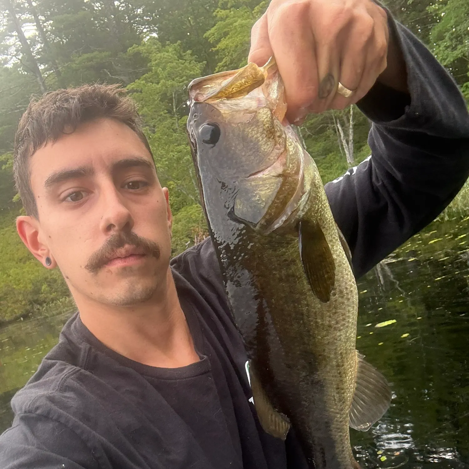 Largemouth bass caught on Fishbrain