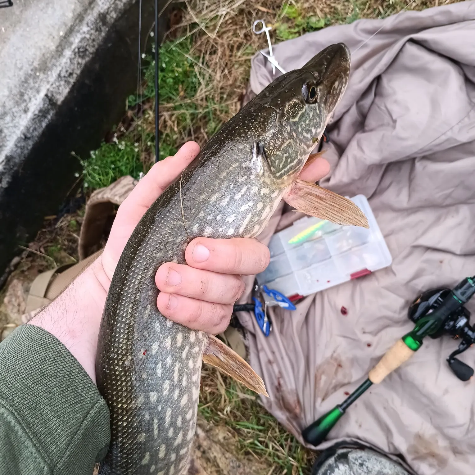 catch