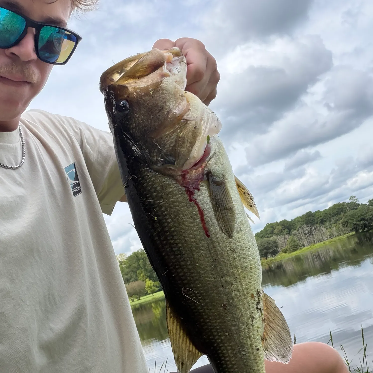Largemouth bass caught on Fishbrain