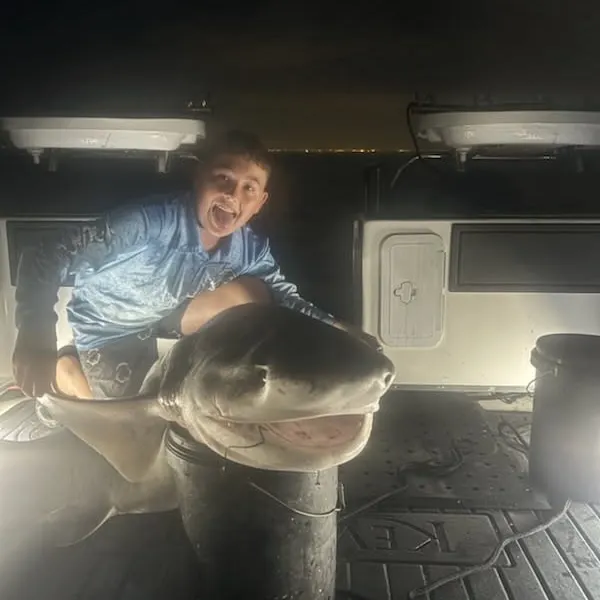 The most recent Sharpnose sevengill shark catches on Fishbrain