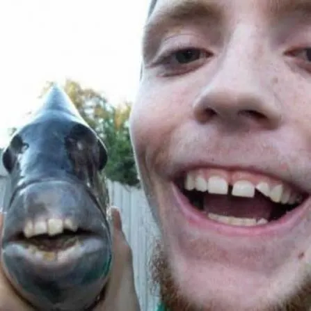 The most recent South American silver croaker catches on Fishbrain