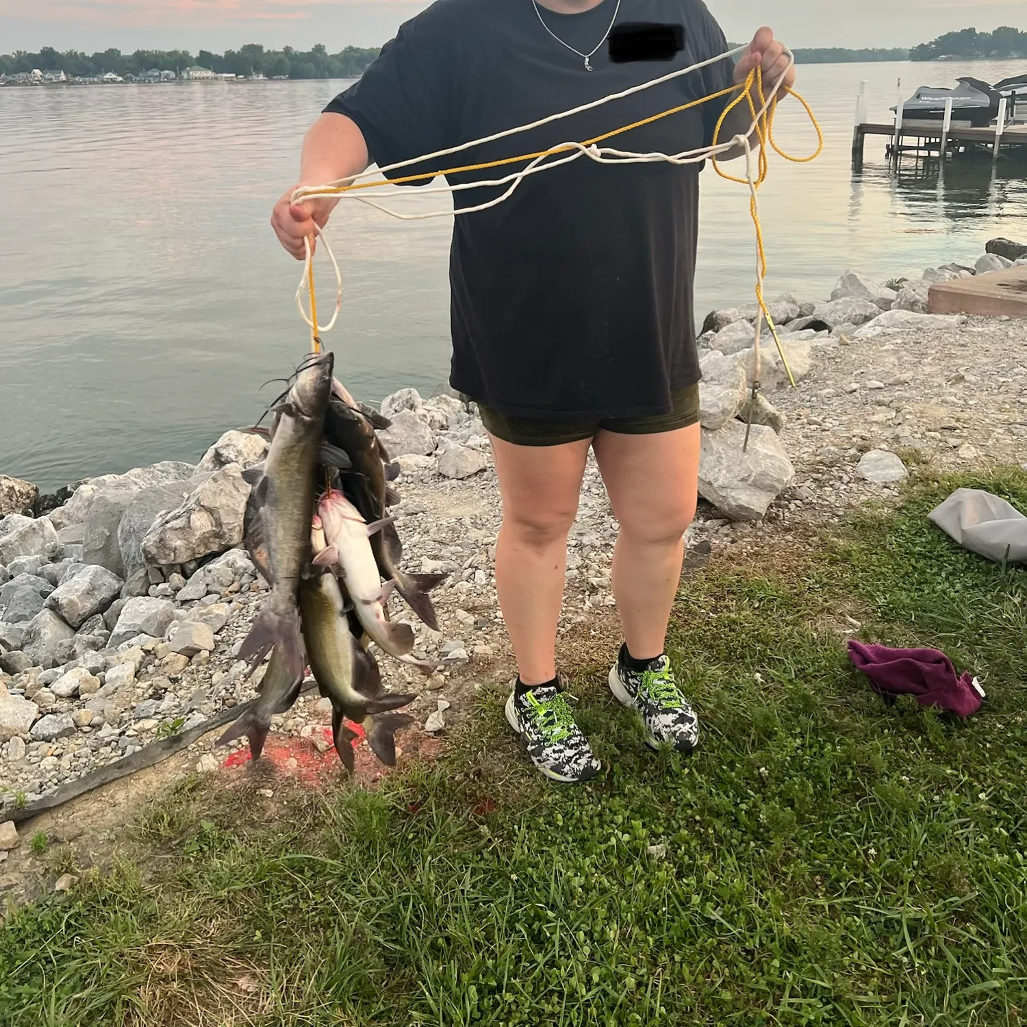 Channel catfish caught on Fishbrain