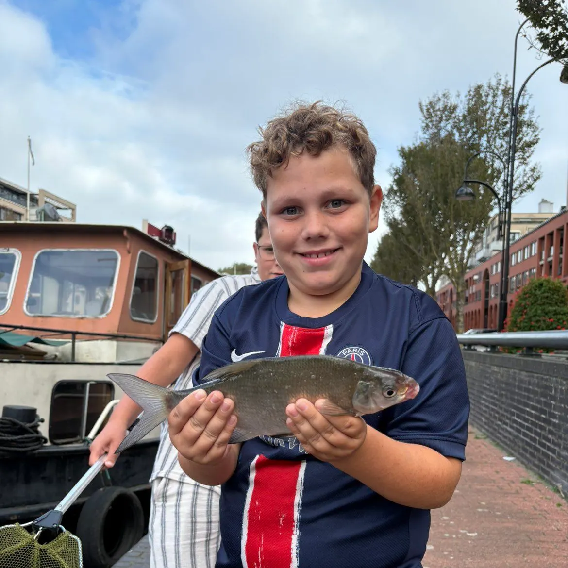 Common bream caught on Fishbrain