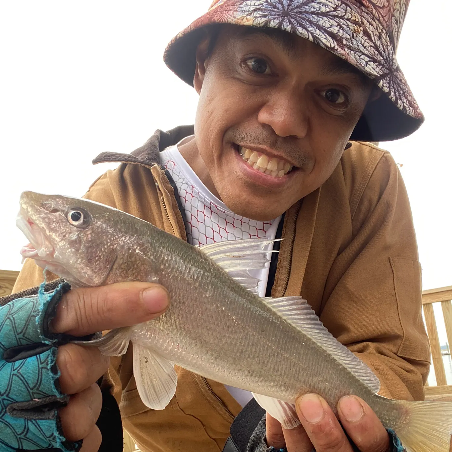 The most recent Pacific whiting catches on Fishbrain