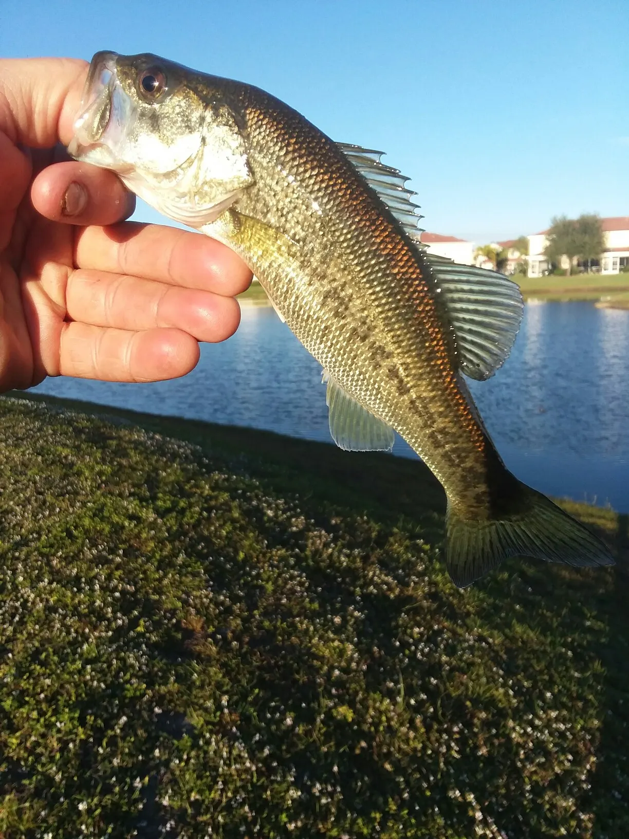 Post image from jherring3334