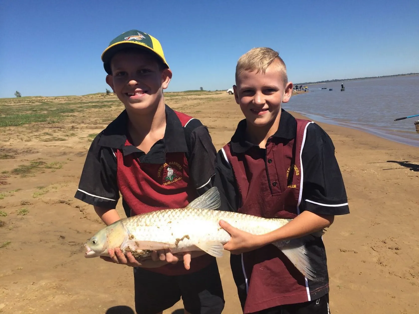 Post image from arnojacobs