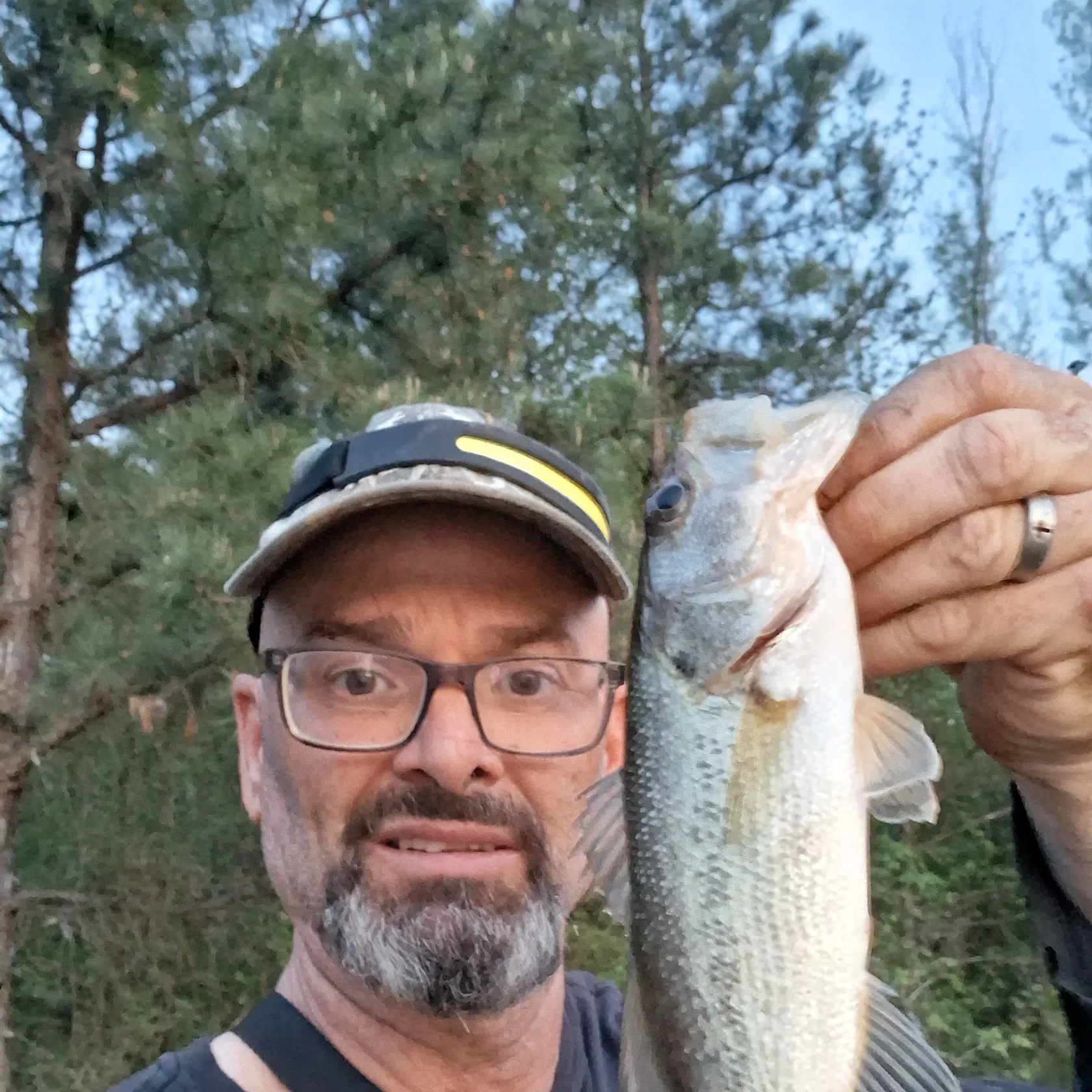 angler catch