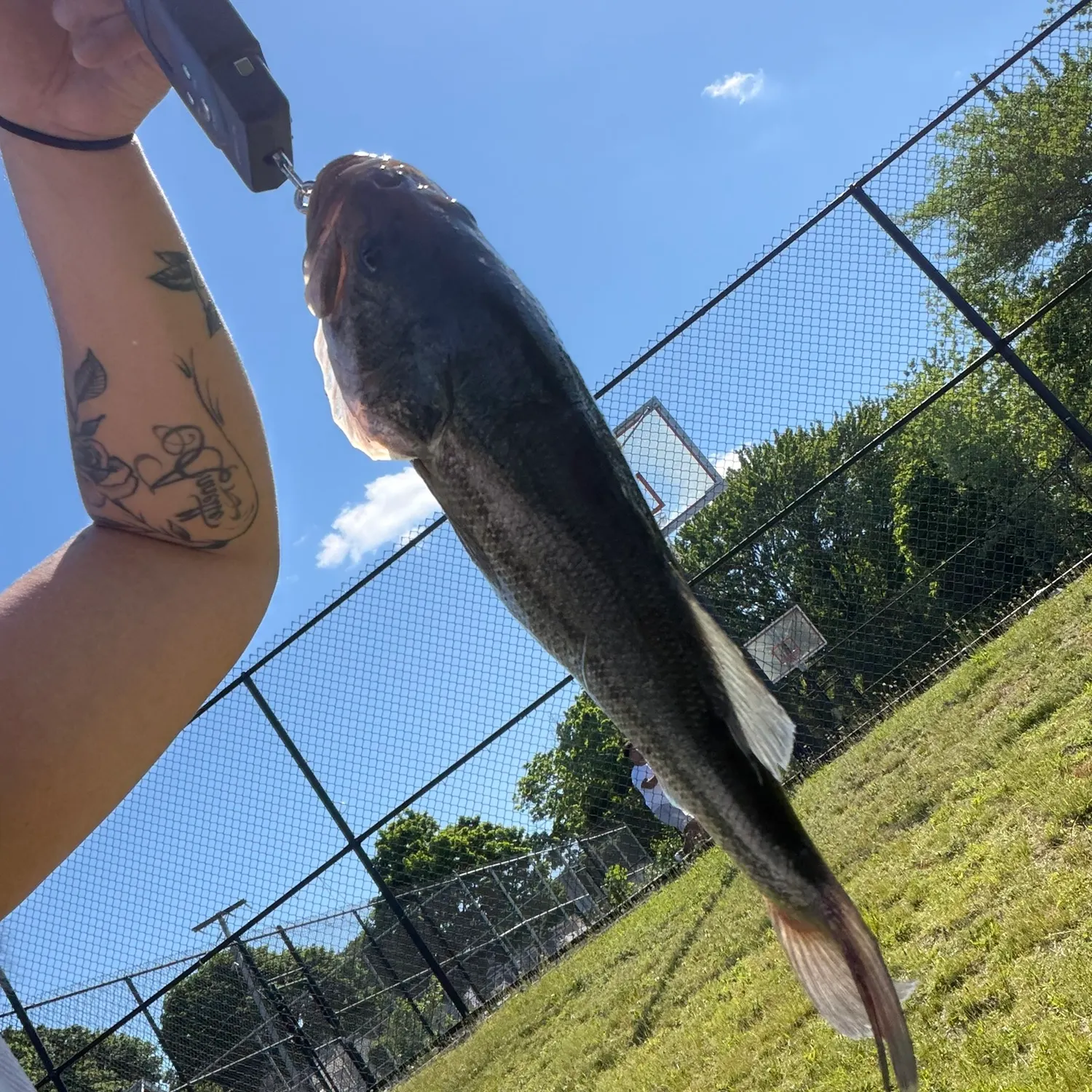 catch