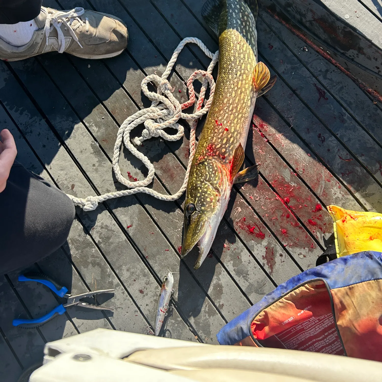 catch