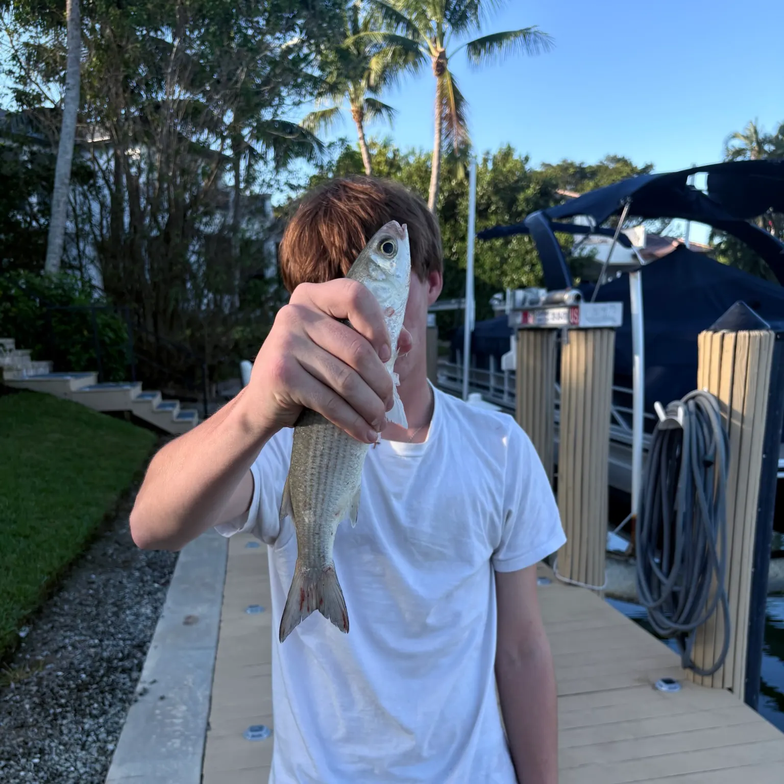 The most recent Striped mullet catches on Fishbrain