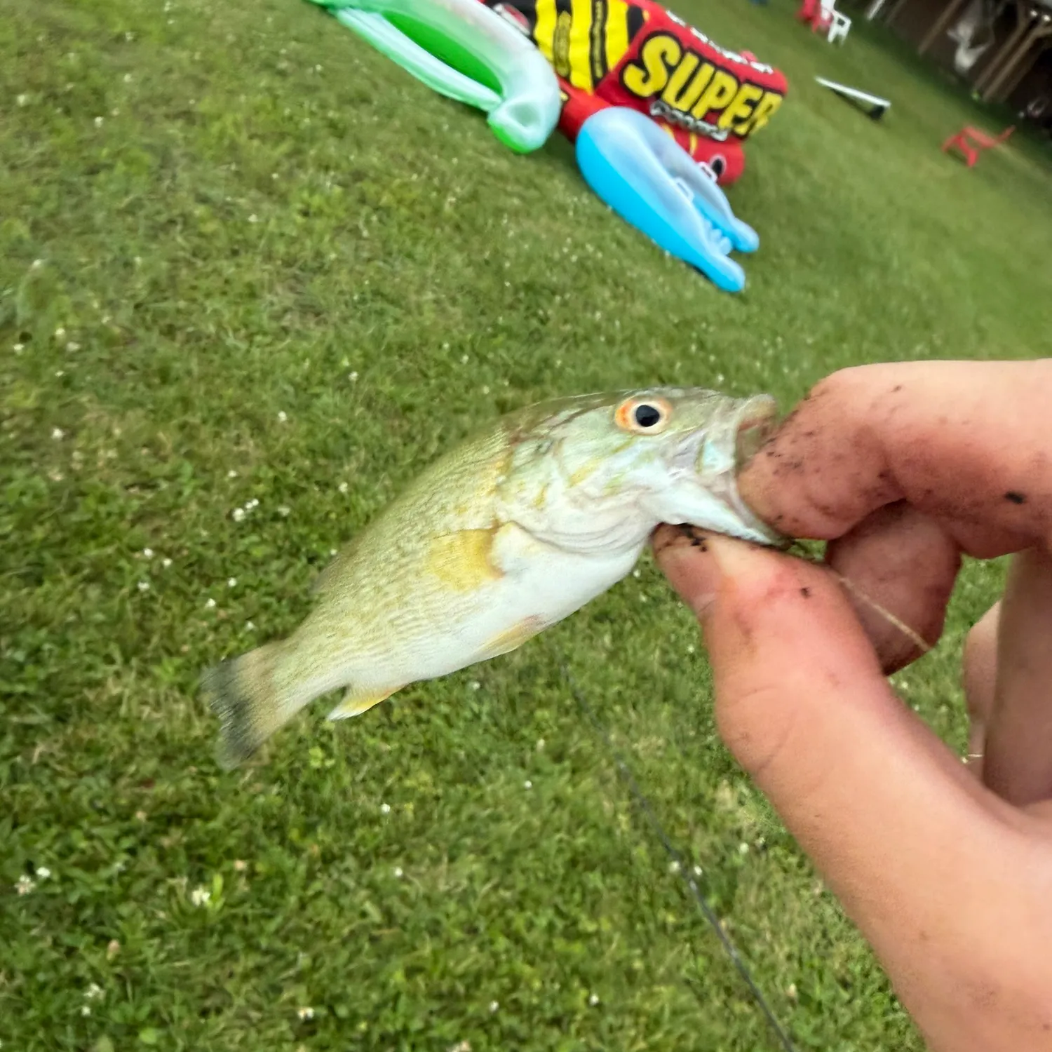 catch