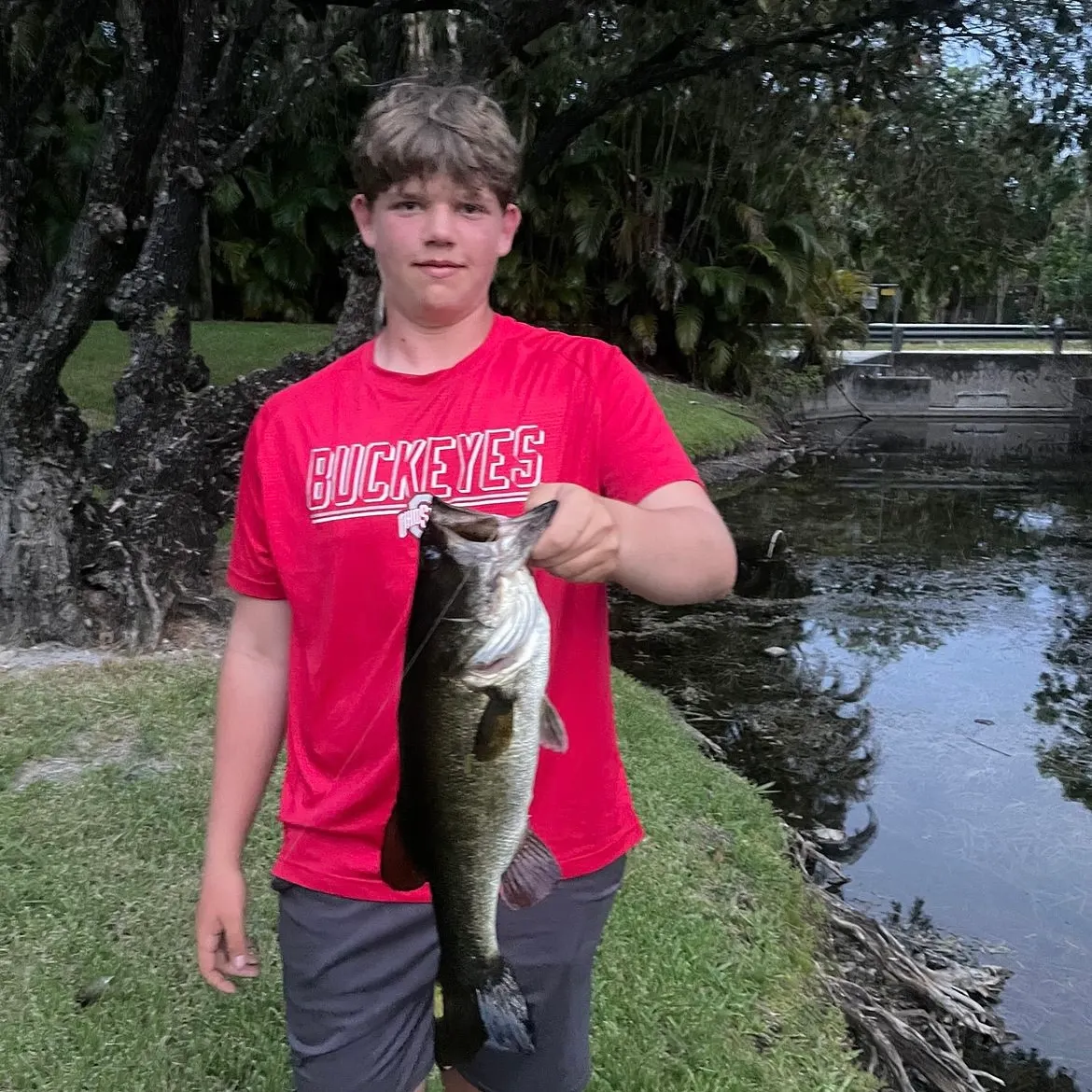 The most recent Florida bass catches on Fishbrain
