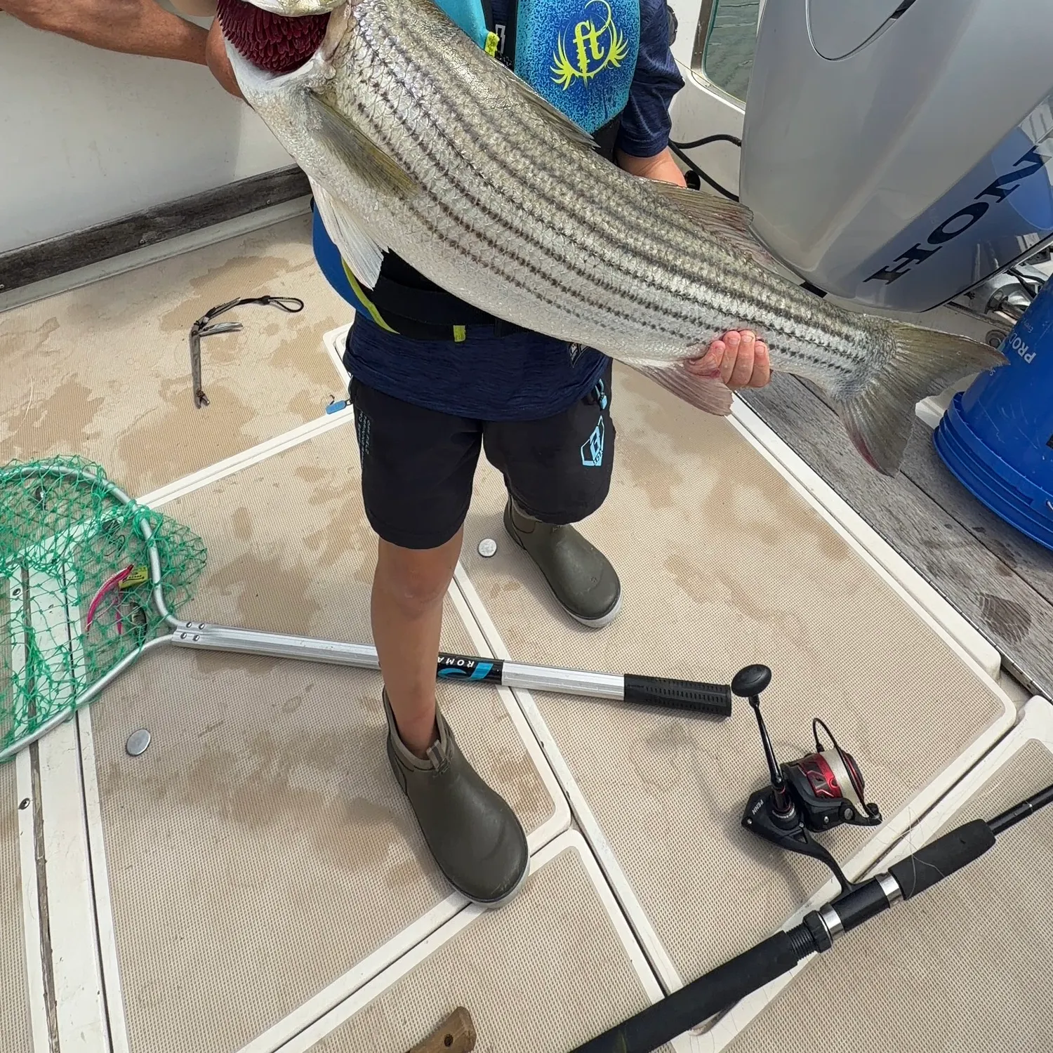The most recent Striped bass catches on Fishbrain
