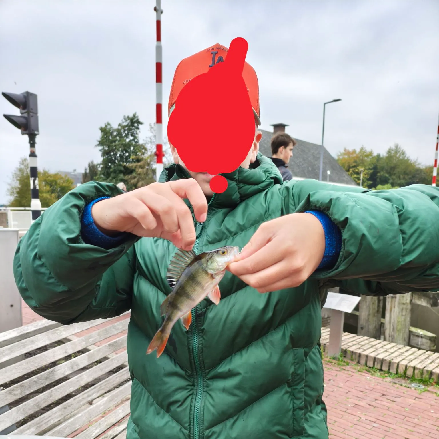 European perch caught on Fishbrain