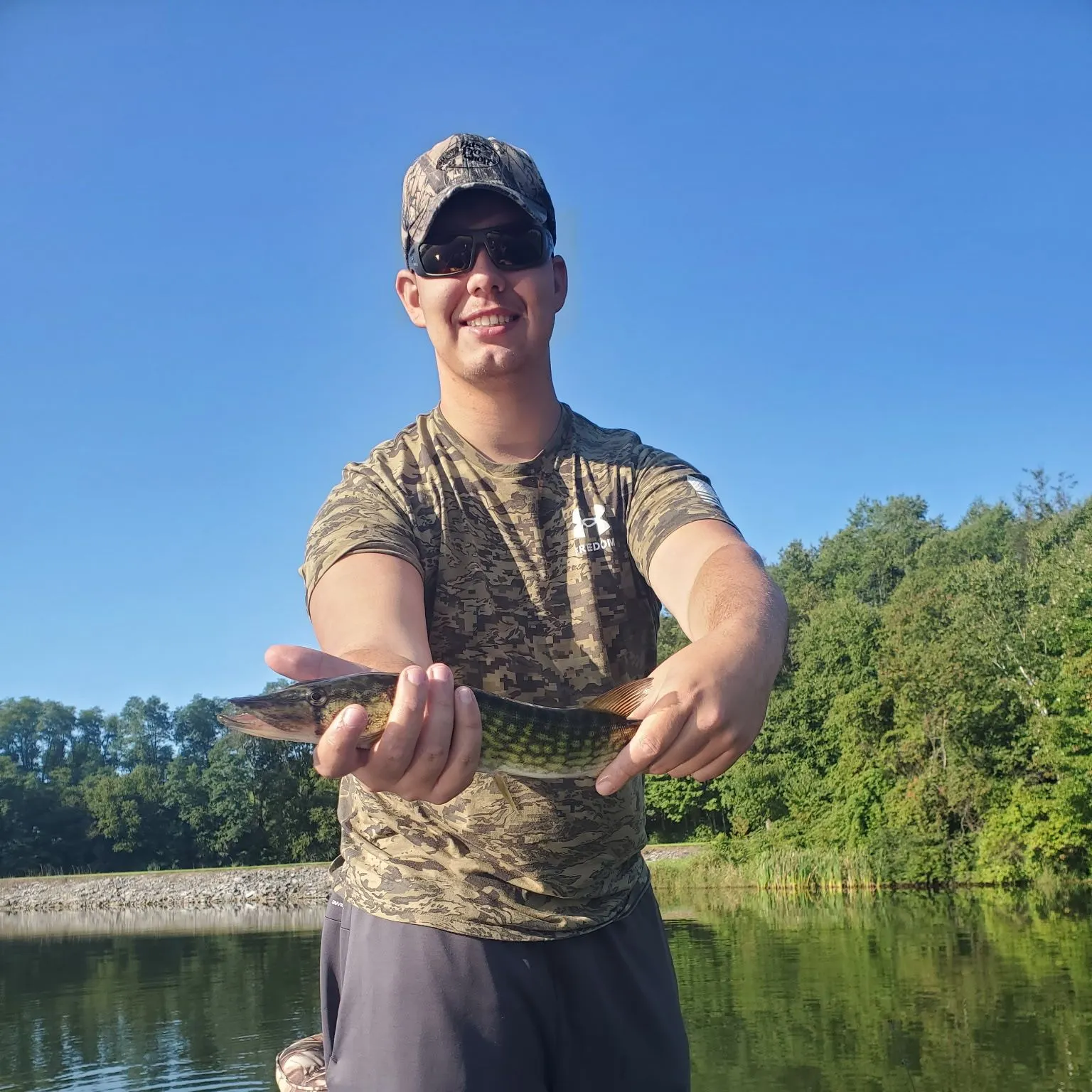 Chain pickerel caught on Fishbrain