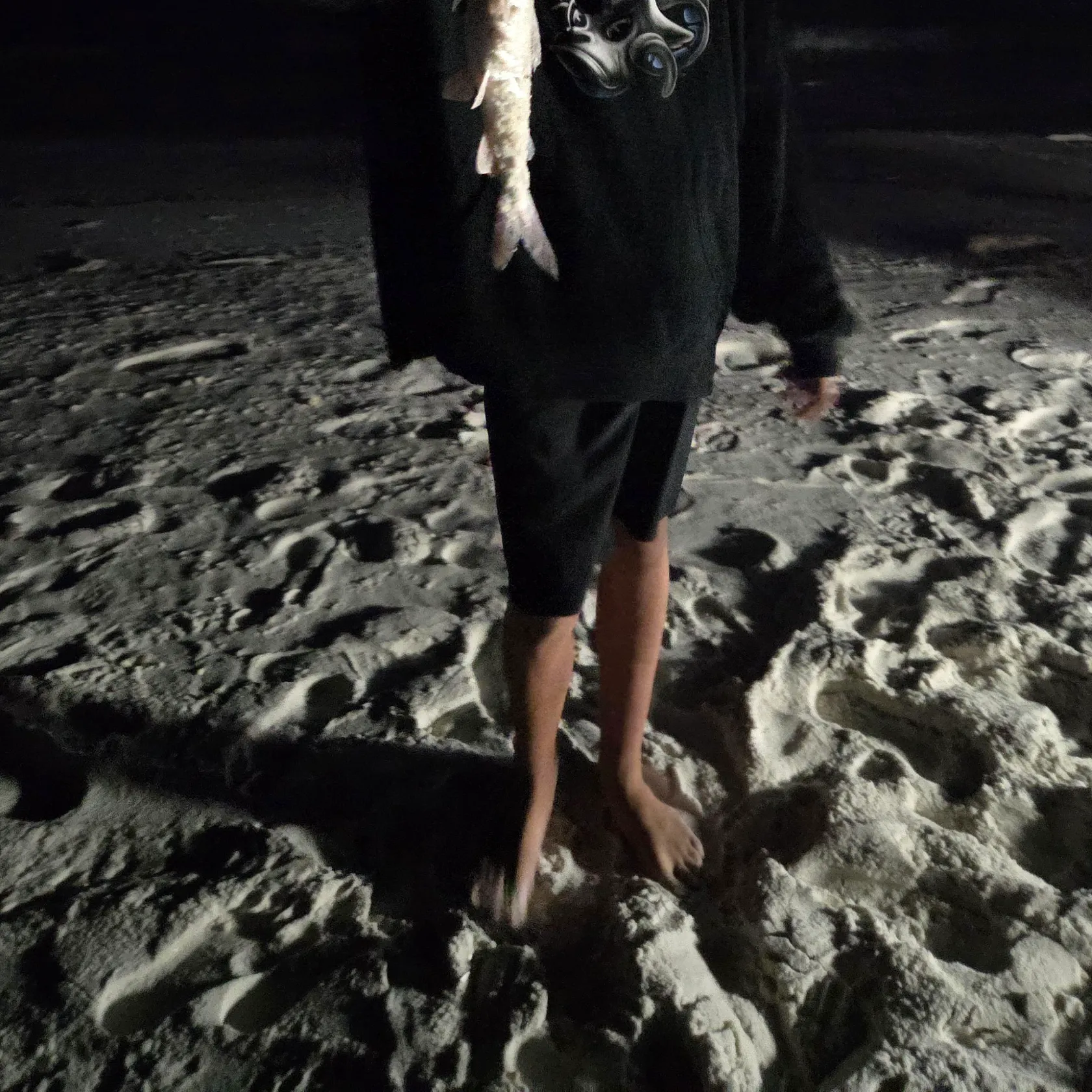 The most recent Flathead catfish catches on Fishbrain