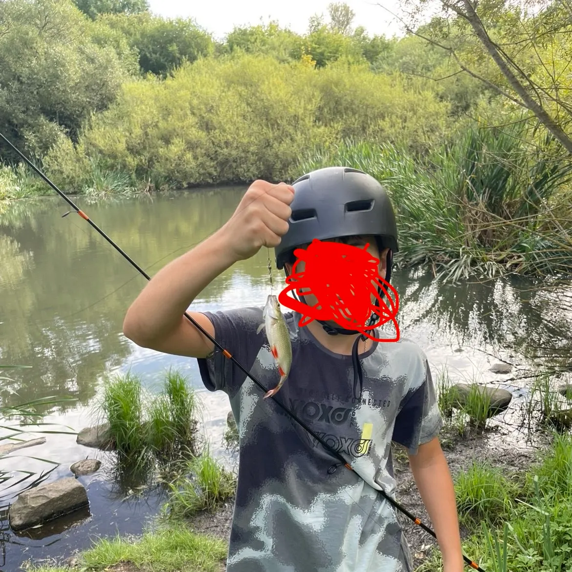 The most recent Common rudd catches on Fishbrain