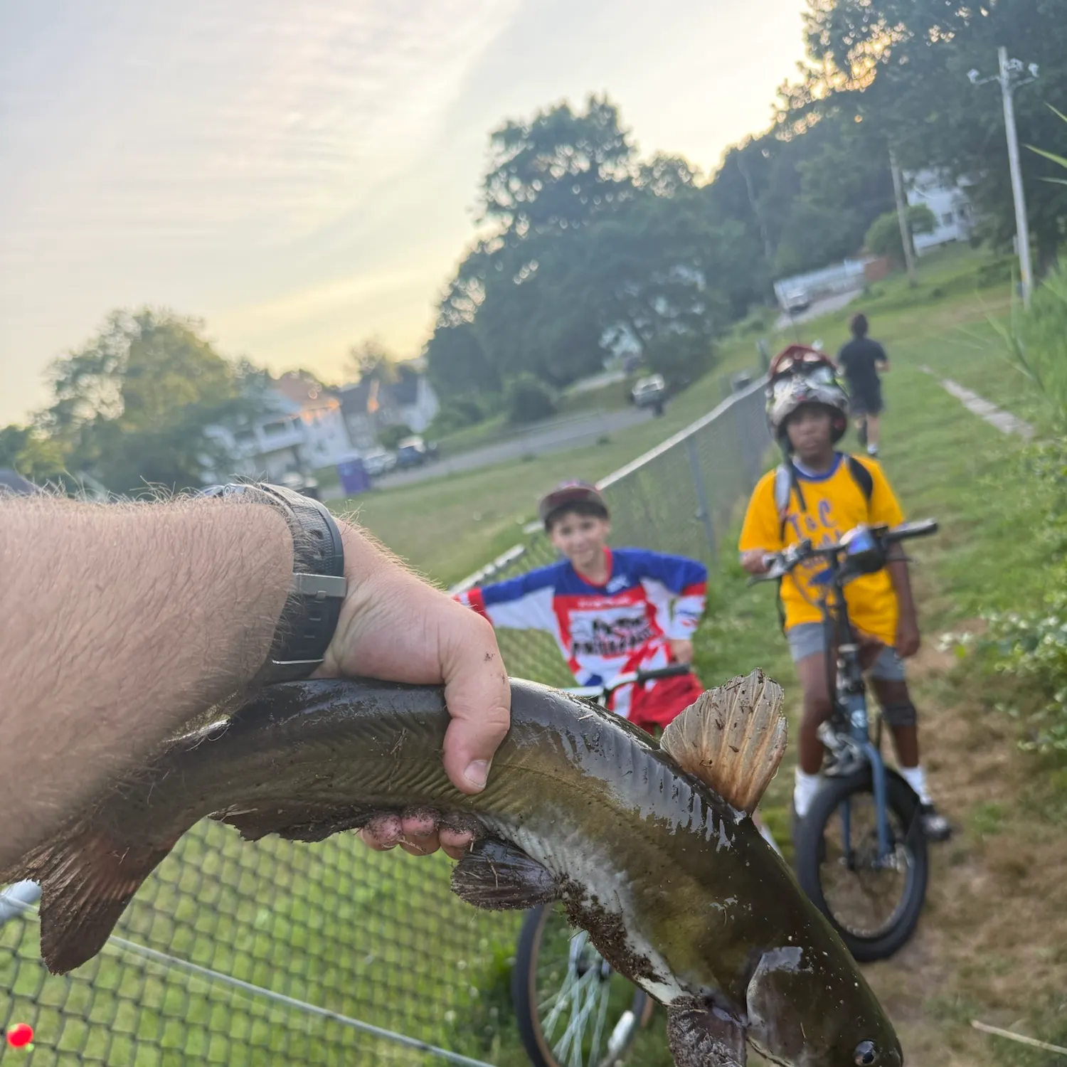catch