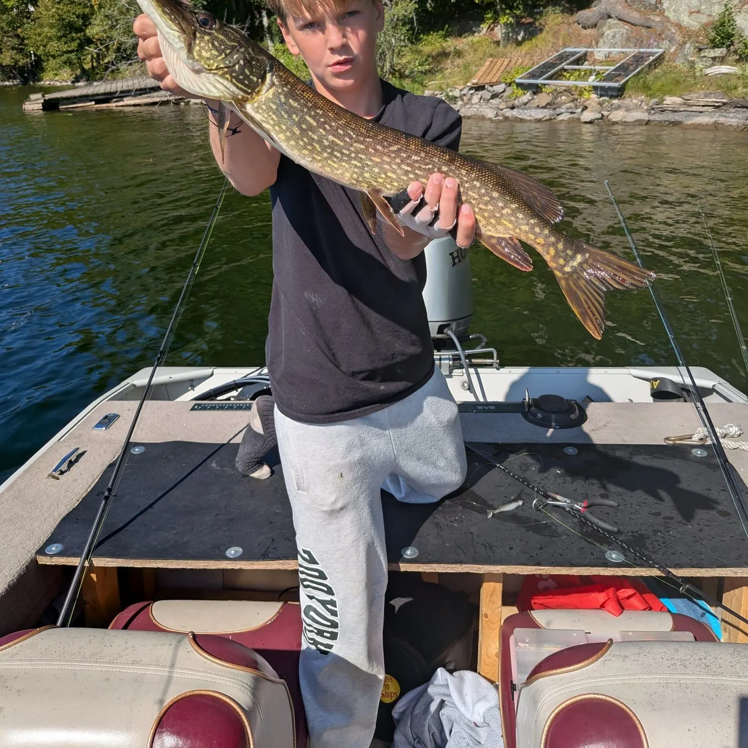 Northern pike caught on Fishbrain