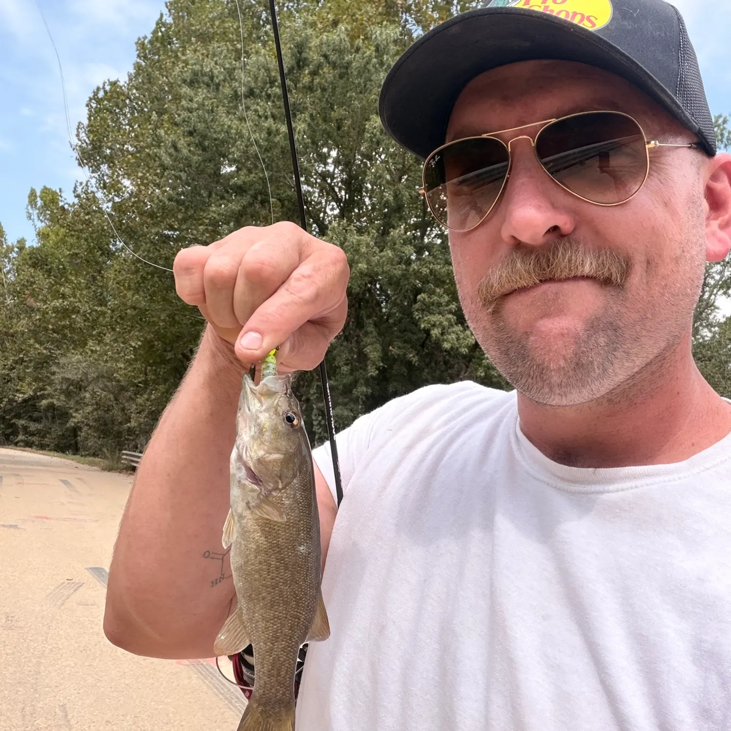 Smallmouth bass caught on Fishbrain
