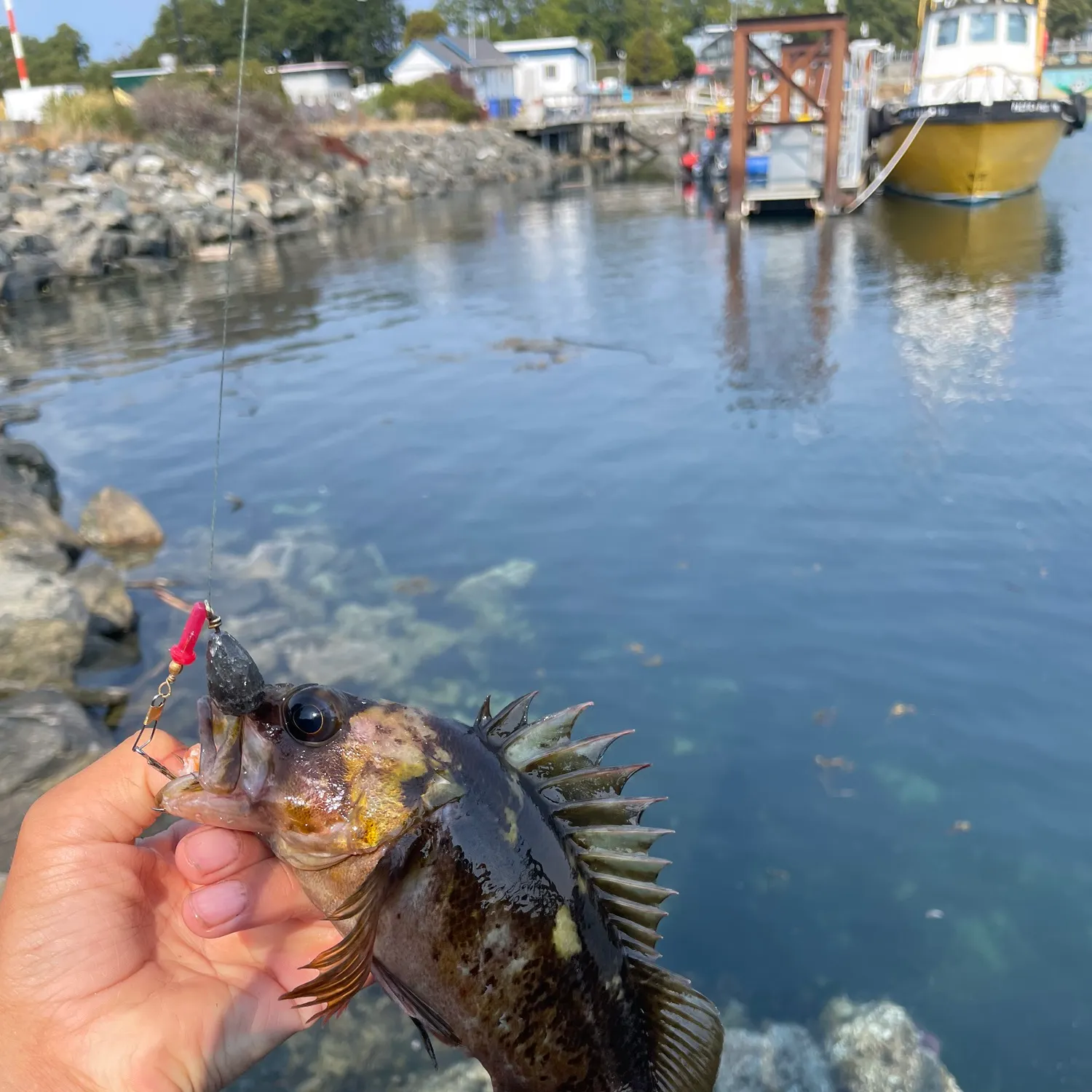 catch