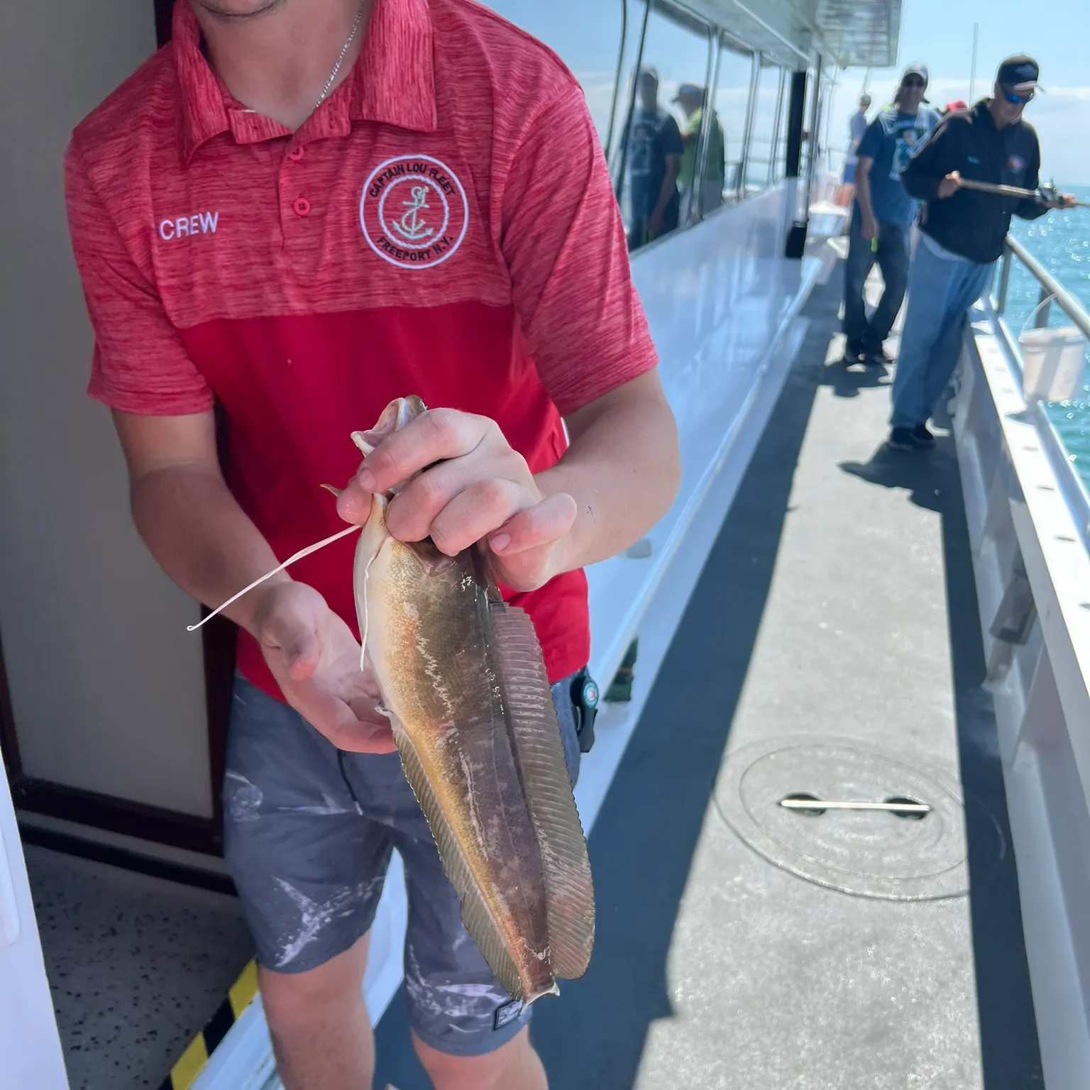 The most recent Red hake catches on Fishbrain